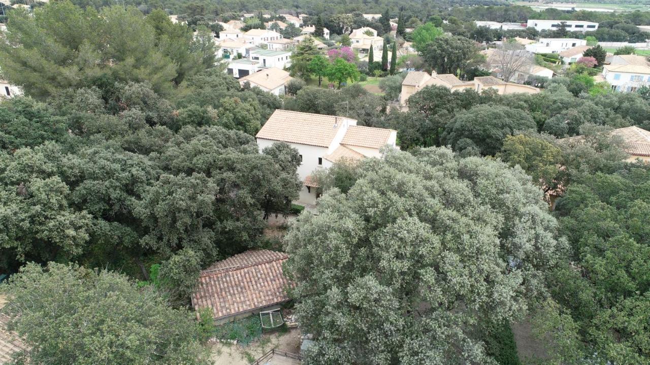 Magnifique Demeure Familiale Villa Castries Buitenkant foto